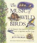 Music Of Wild Birds