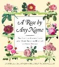 Rose by Any Name The Little Known Lore & Deep Rooted History of Rose Names