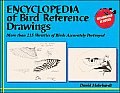 Encyclopedia of Bird Reference Drawings More Than 215 Varieties of Birds Accurately Portrayed