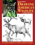 Drawing Americas Wildlife An Artists