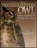 Illustrated Owl Barn Barred & Great Horned The Ultimate Reference Guide for Bird Lovers Artists & Woodcarvers
