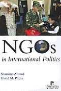 Ngos In International Politics