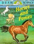 Draw Science Horses & Ponies