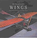 On Miniature Wings Model Aircraft Of The