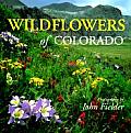 Wildflowers Of Colorado