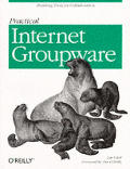 Practical Internet Groupware