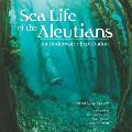 Sea Life of the Aleutians