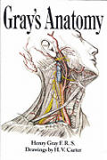 Grays Anatomy 15th Edition