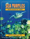 Sea Turtles An Ecological Guide