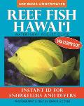 Reef Fish Hawaii Waterproof Pocket Guide Instant Id for Snorkelers & Divers