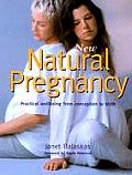 New Natural Pregnancy Practical Wellbeing from Conception to Birth