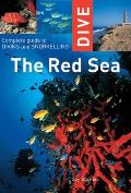 Dive the Red Sea: Complete Guide to Diving and Snorkeling