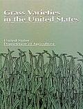 Grass Varieties In The United States