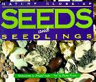 Seeds & Seedlings Nature Close Up