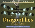 Dragonflies & Damselflies Nature Close Up