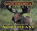 Unique Animals Of The Northeast