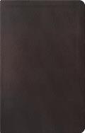 ESV Reformation Study Bible, Condensed Edition - Dark Brown, Premium Leather