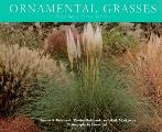 Ornamental Grasses Design Ideas Uses