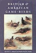 British & American Game-Birds