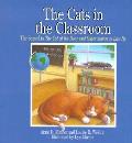 Cats In The Classroom The Sequel To The