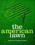 American Lawn Surface Of Everyday Life