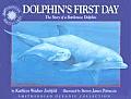 Dolphins First Day The Story of a Bottlenose Dolphin