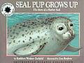 Oceanic Collection Seal Pup Grows Up The Story of a Harbor Seal