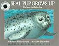 Seal Pup Grows Up The Story of a Harbor Seal