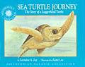 Sea Turtle Journey The Story of a Loggerhead Turtle
