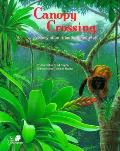 Canopy Crossing A Story of an Atlantic Rainforest