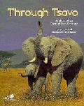 Through Tsavo A Story of an East African Savanna