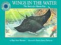 Wings in the Water the Story of a Manta Ray