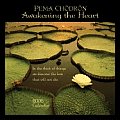 Cal06 Pema Chodron Awakening The Heart 0
