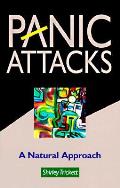 Panic Attacks Natural Approach