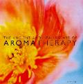 Ancient & Healing Art Of Aromatherapy