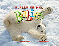Alaska Animal Babies