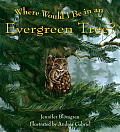 Where Would I Be in an Evergreen Tree