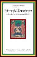 Primordial Experience An Introduction to Rdzogs Chen Meditation