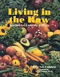 Living in the Raw Recipes for a Healthy Lifestyle