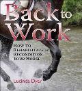 Back to Work How to Rehabilitate or Recondition Your Horse