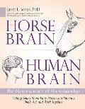 Horse Brain Human Brain The Neuroscience of Horsemanship