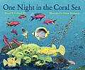One Night In The Coral Sea