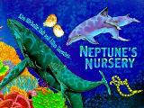 Neptunes Nursery