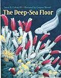 Deep Sea Floor