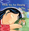 While You Are Sleeping A Lift The Flap Book of Time Around the World