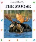 Moose Gentle Giant