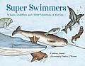 Super Swimmers Whales Dolphins & Other Mammals of the Sea