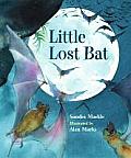 Little Lost Bat