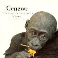 Cenzoo The Story Of A Baby Gorilla