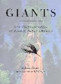 Giants The Colossal Trees Of Pacific Nor